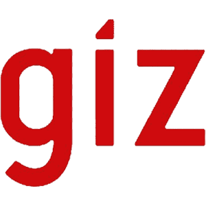 GIZ logo